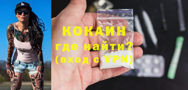 гашик Тында