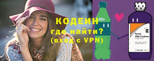 гашик Тында