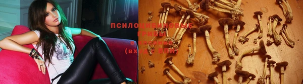 jwh Тутаев
