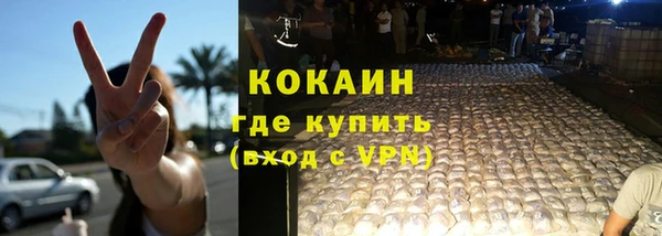 гашик Тында
